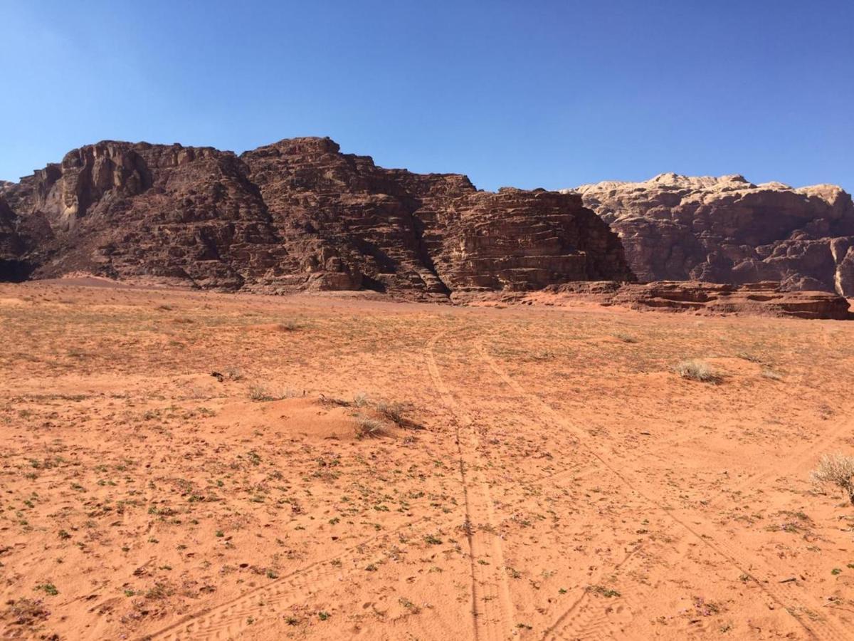 Wadi Rum Bedouin Experience מראה חיצוני תמונה