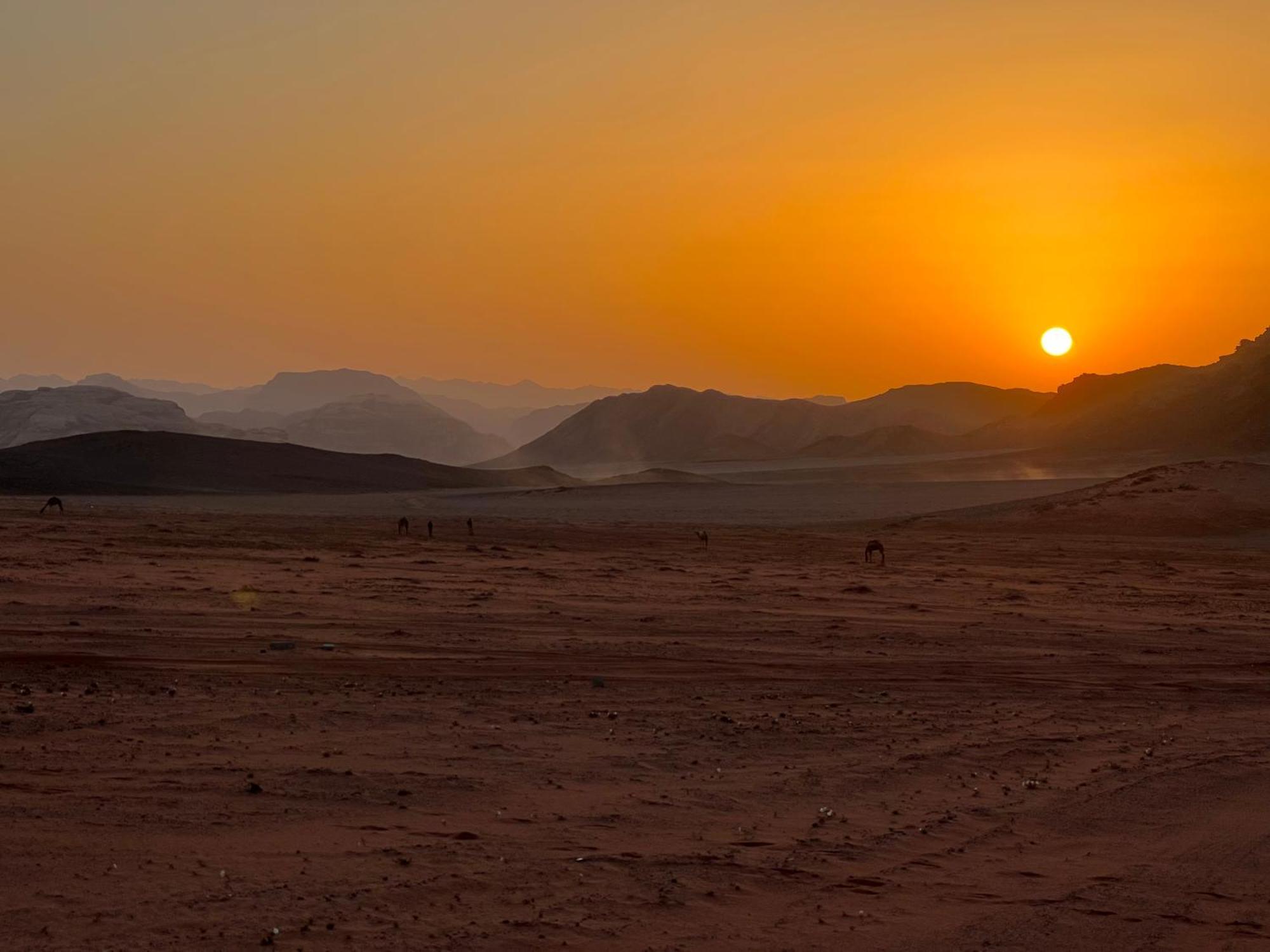Wadi Rum Bedouin Experience מראה חיצוני תמונה