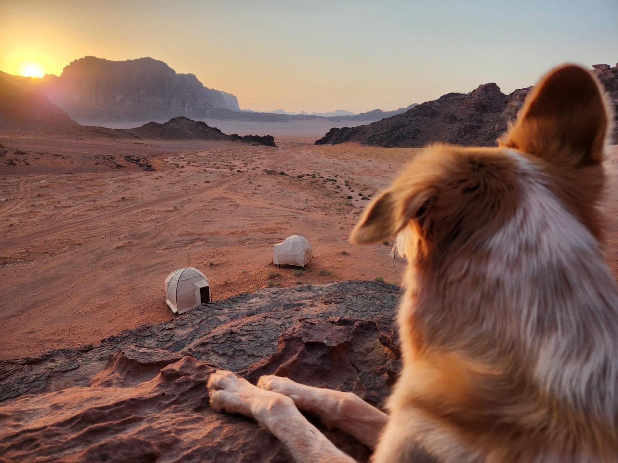 Wadi Rum Bedouin Experience מראה חיצוני תמונה