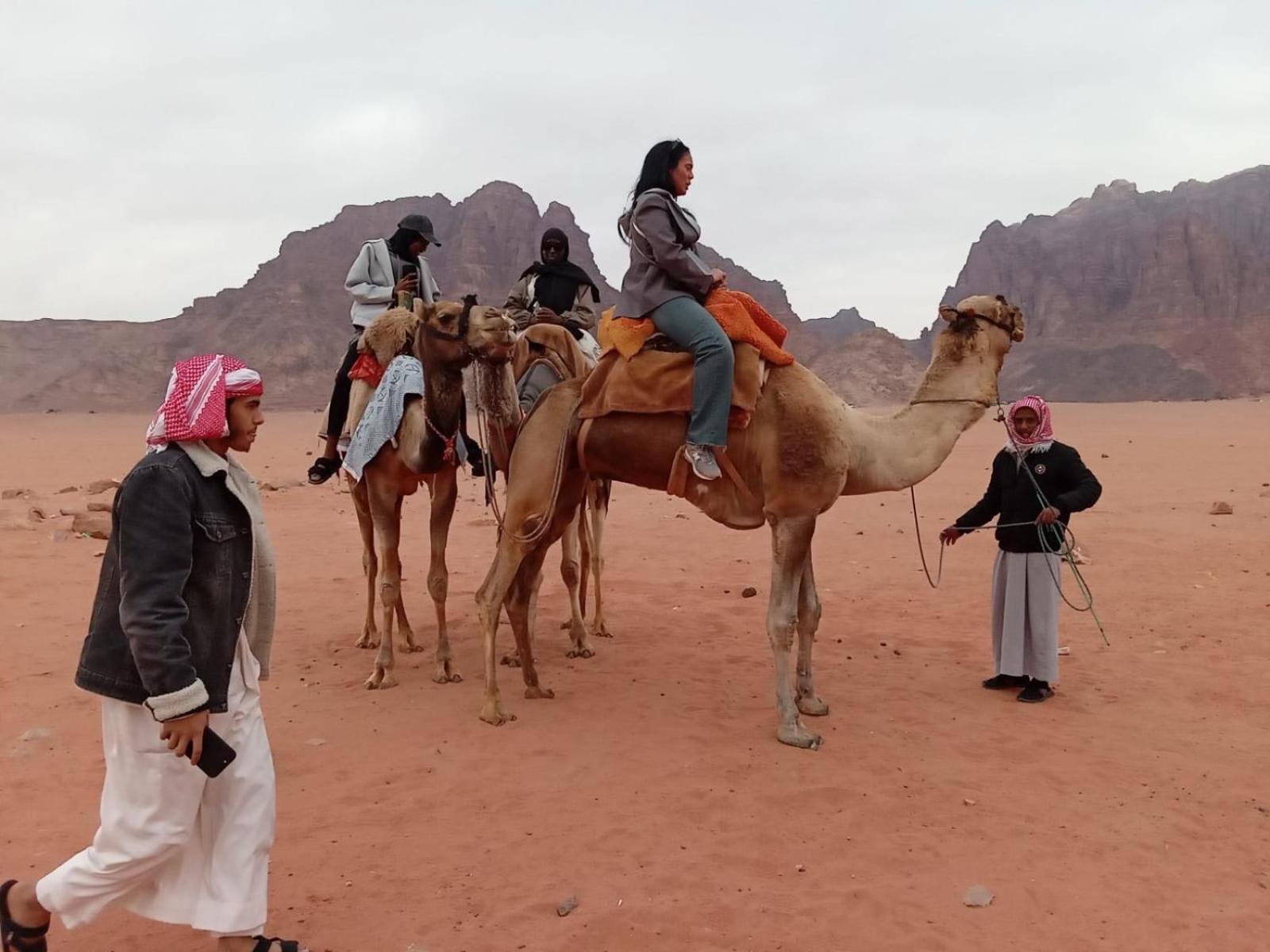 Wadi Rum Bedouin Experience מראה חיצוני תמונה