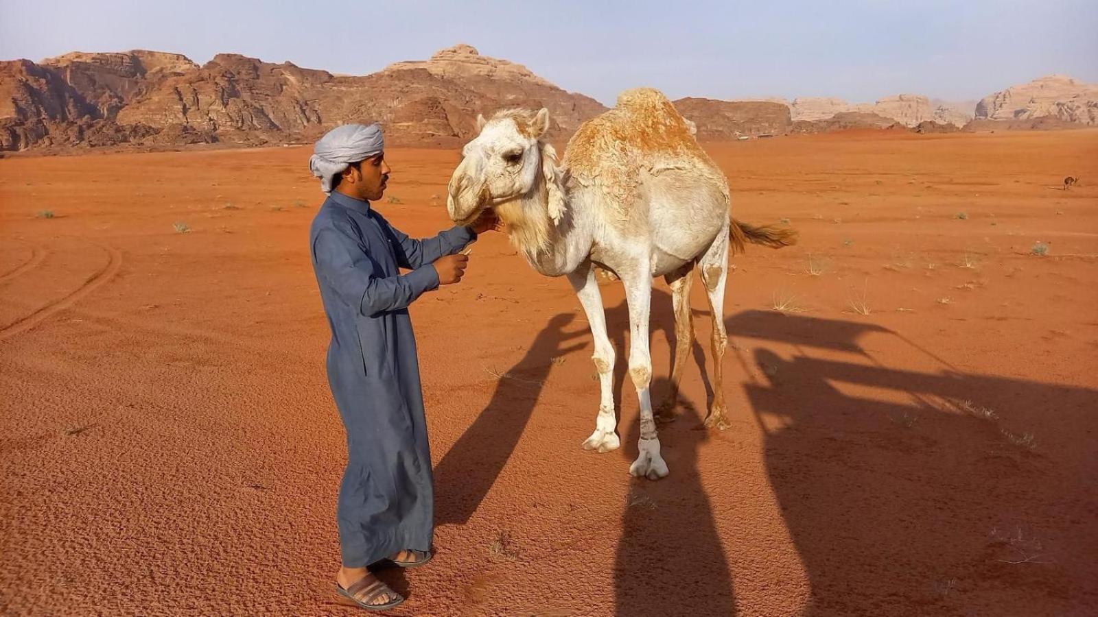 Wadi Rum Bedouin Experience מראה חיצוני תמונה